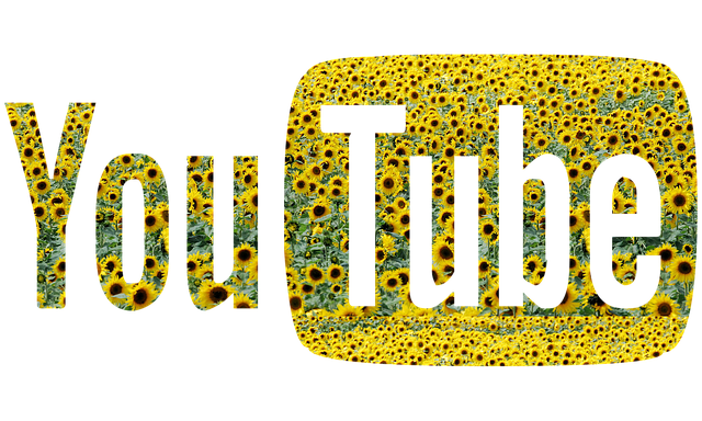 YpuTube Logo