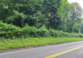 100 Bucks Hill Road, Southbury, Connecticut 06488, ,Lots And Land For Sale,For Sale,Bucks Hill,170266953